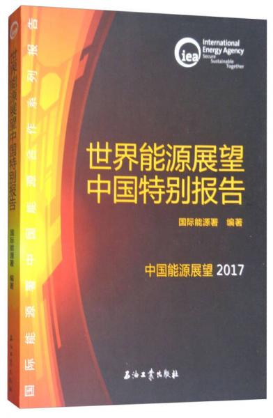 世界能源展望中國特別報告/2017中國能源展望