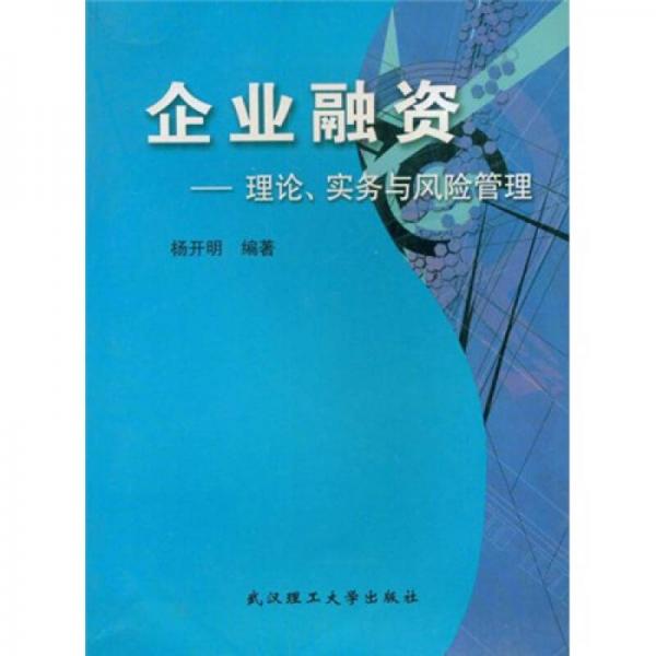 企业融资：理论实务与风险管理