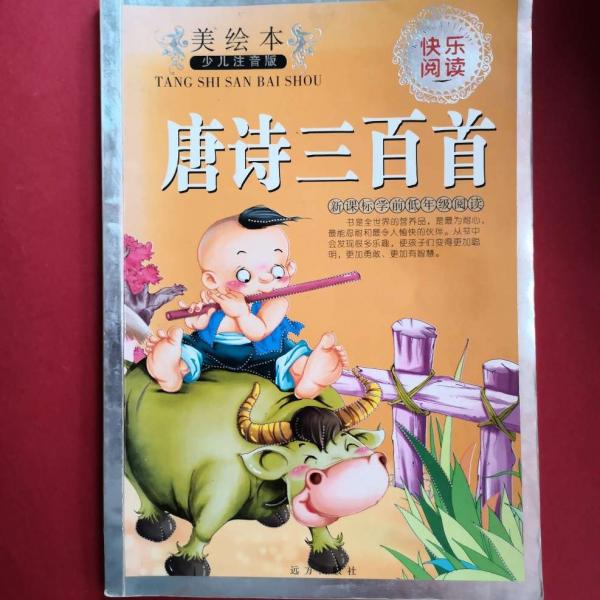 雷鋒的故事