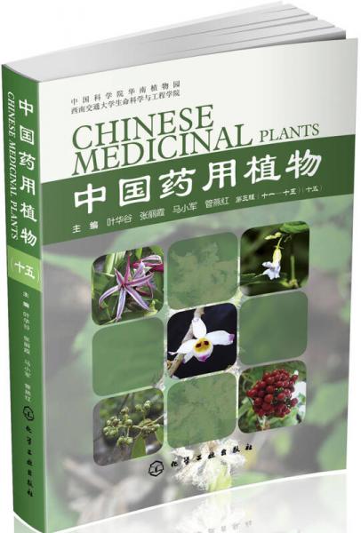 中国药用植物（十五）