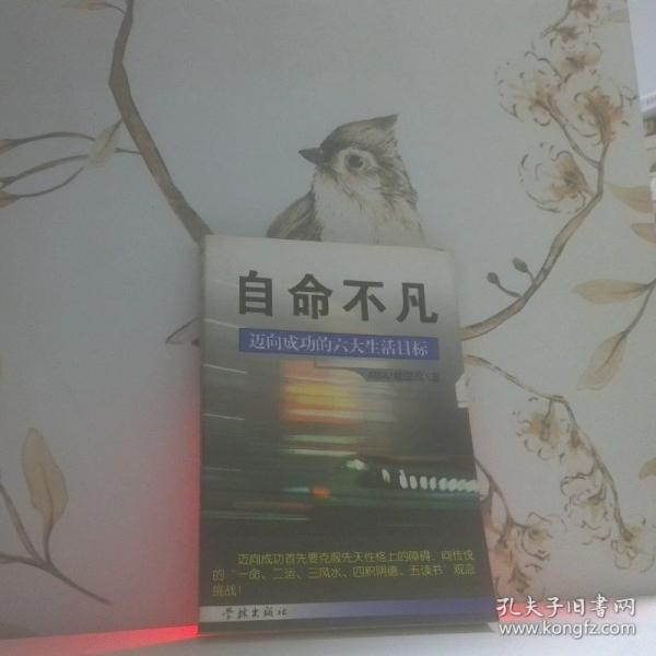 自命不凡:邁向成功的六大生活目標