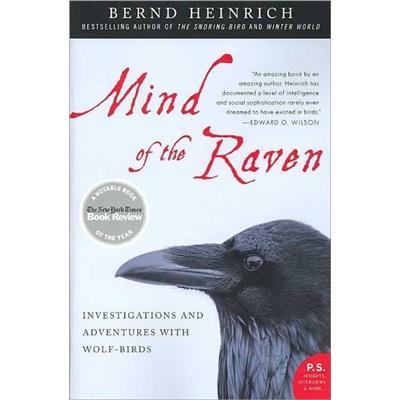 MindoftheRaven