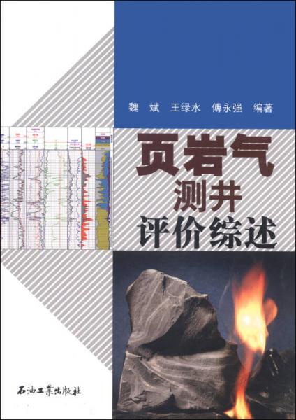 頁(yè)巖氣測(cè)井評(píng)價(jià)綜述