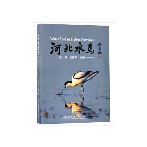 河北水鳥(niǎo)