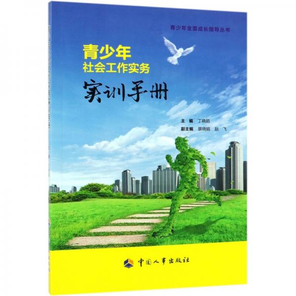 青少年社會(huì)工作實(shí)務(wù)實(shí)訓(xùn)手冊(cè)/青少年全面成長(zhǎng)指導(dǎo)叢書