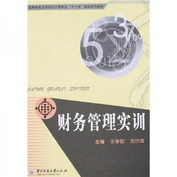 財(cái)務(wù)管理實(shí)訓(xùn)