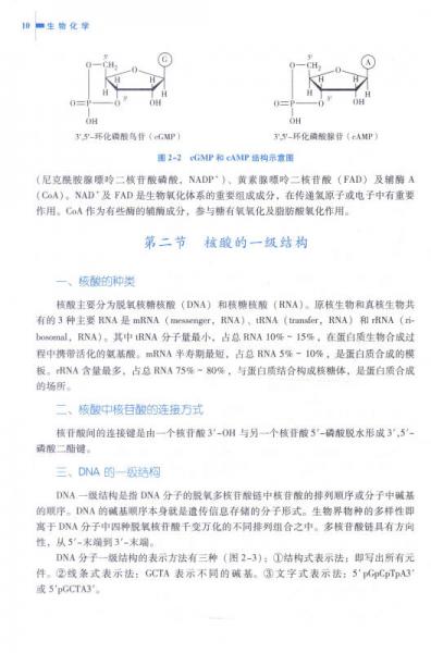生物化学