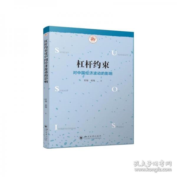 杠杆约束对中国经济波动的影响