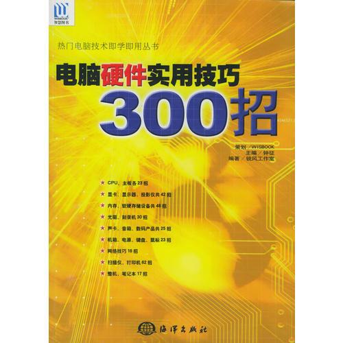 电脑硬件实用技巧300招——热门电脑技术即学即用丛书