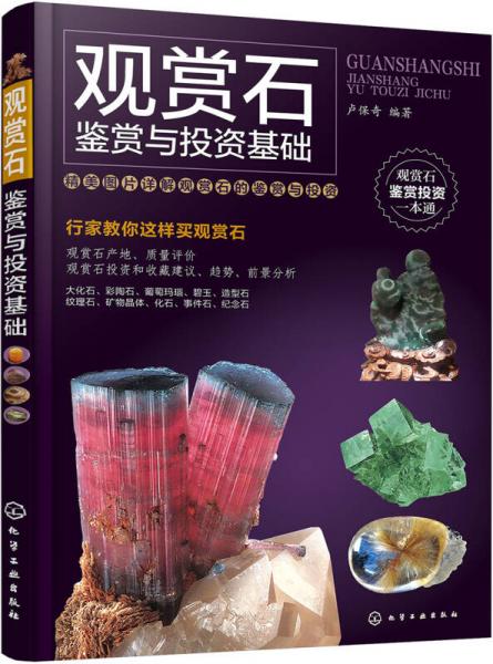 觀賞石鑒賞與投資基礎(chǔ)