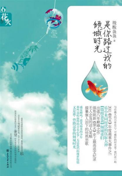 是你路過(guò)我的傾城時(shí)光