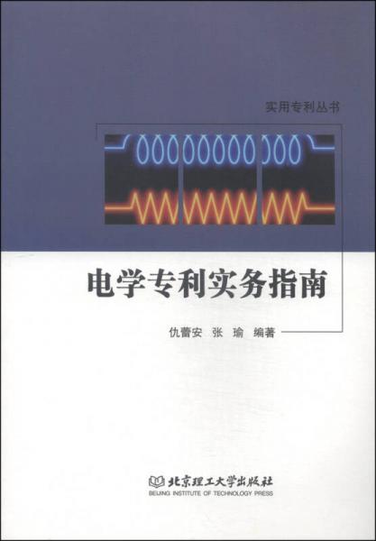 实用专利丛书：电学专利实务指南