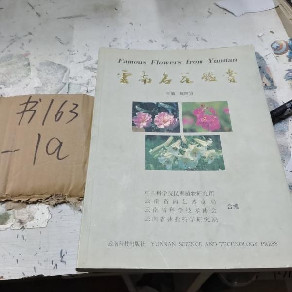 云南名花鑒賞
