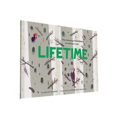 Lifetime  The Amazing Numbers in Animal Lives
