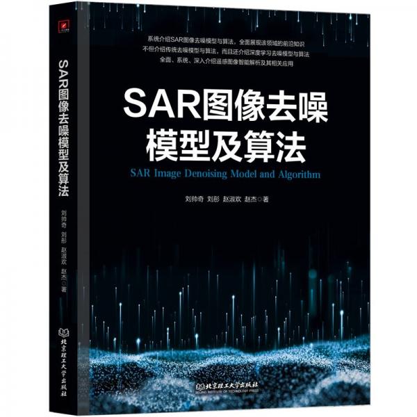 SAR圖像去噪模型及算法