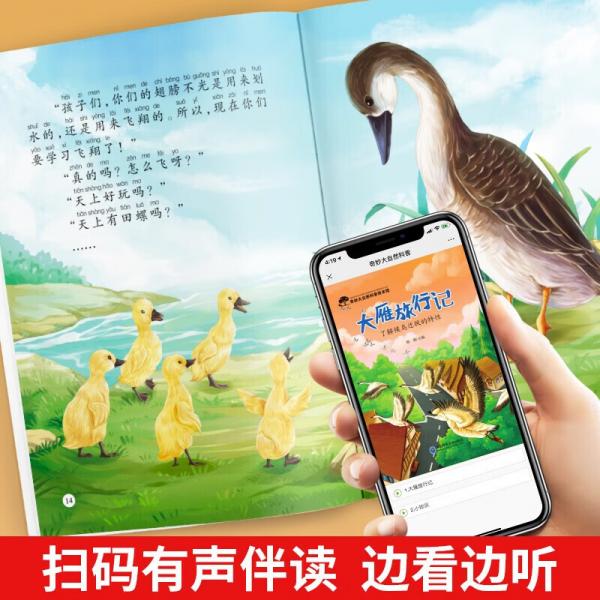 儿童奇妙大自然科普绘本全10册小学1-6年级必读课外书老师推荐