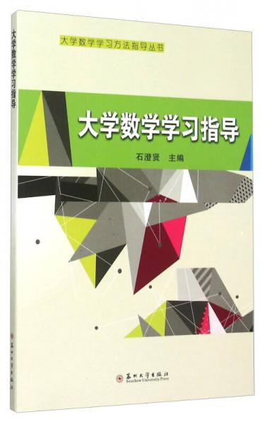 大學(xué)數(shù)學(xué)學(xué)習(xí)方法指導(dǎo)叢書(shū)：大學(xué)數(shù)學(xué)學(xué)習(xí)指導(dǎo)