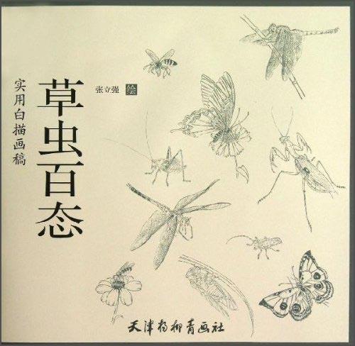 實(shí)用白描畫稿. 草蟲百態(tài)