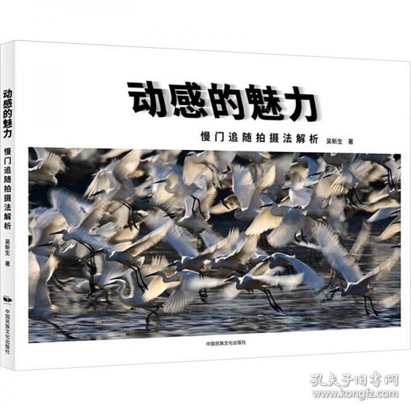 動感的魅力：慢門追隨攝法解析