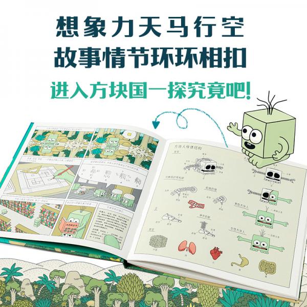 一个方方正正的方块国