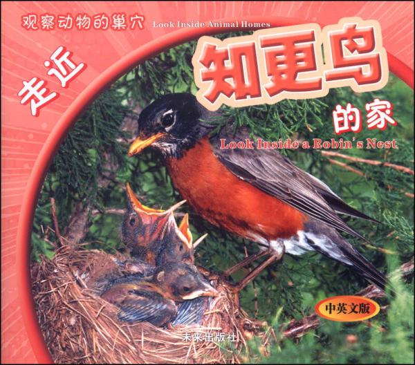 觀察動物的巢穴：走近知更鳥的家（中英文版）