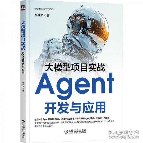 大模型项目实战：Agent开发与应用
