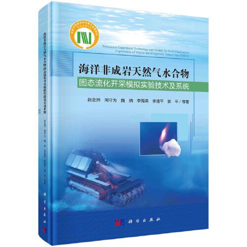海洋非成巖天然氣水合物固態(tài)流化開采模擬實(shí)驗(yàn)技術(shù)及系統(tǒng)