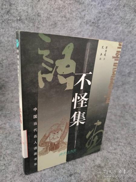 不怪集