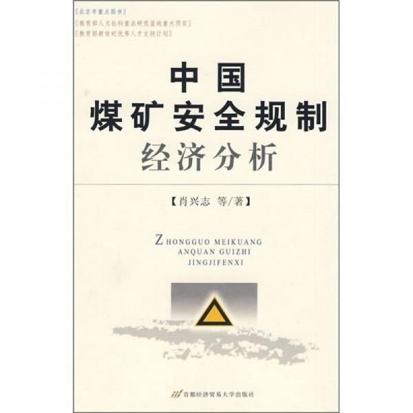 中国煤矿安全规制经济分析