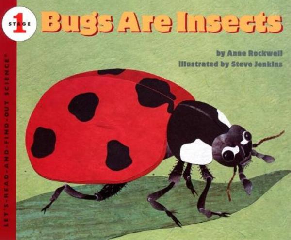 Bugs Are Insects虫子是昆虫
