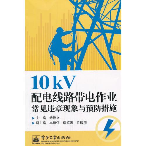 10kV配电线路带电作业常见违章现象与预防措施