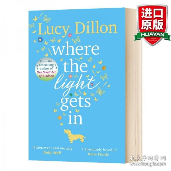 英文原版 Where The Light Gets In露西·狄倫：光進(jìn)入的地方 英文版 