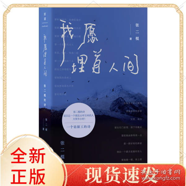 我愿埋首人间：张二棍的诗