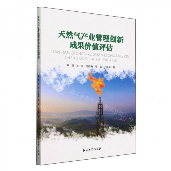 天然气产业管理创新成果价值评估