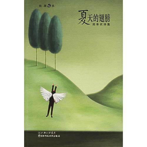 夏天的翅膀