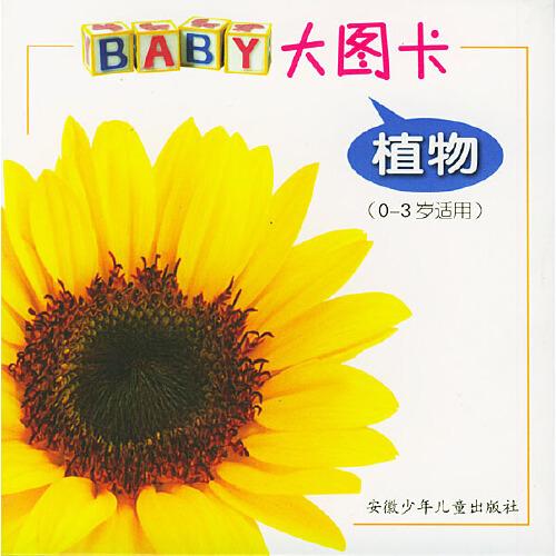 BABY大圖卡.植物