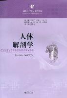 人體解剖學(xué)