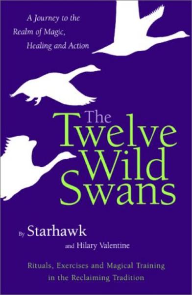 TheTwelveWildSwans