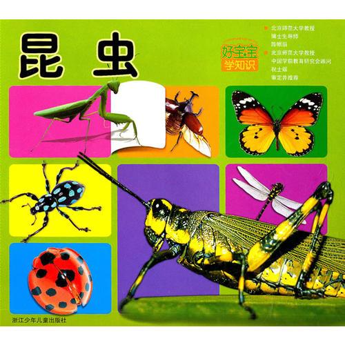 好寶寶學(xué)知識(shí)：昆蟲(chóng)