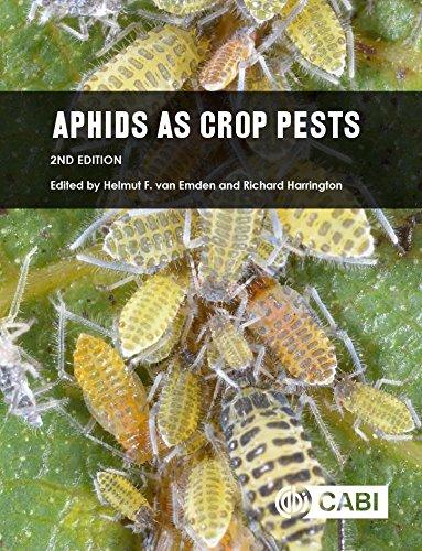 Aphids as Crop P