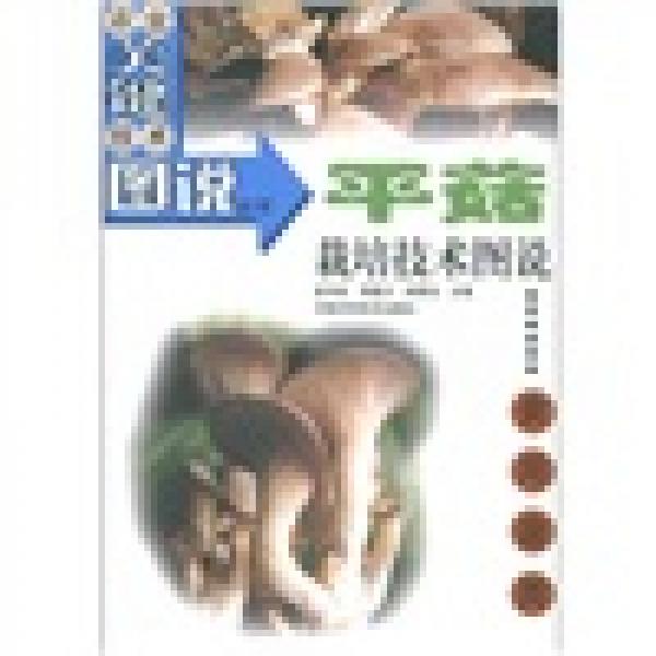 平菇栽培技術(shù)圖說