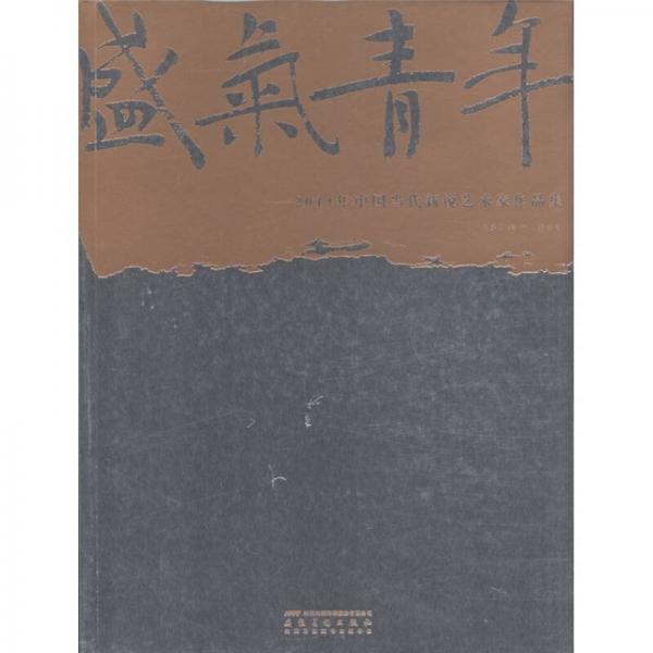 盛气青年：2011年中国当代新锐艺术家作品集