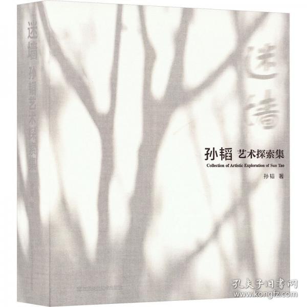 迷墙 孙韬艺术探索集