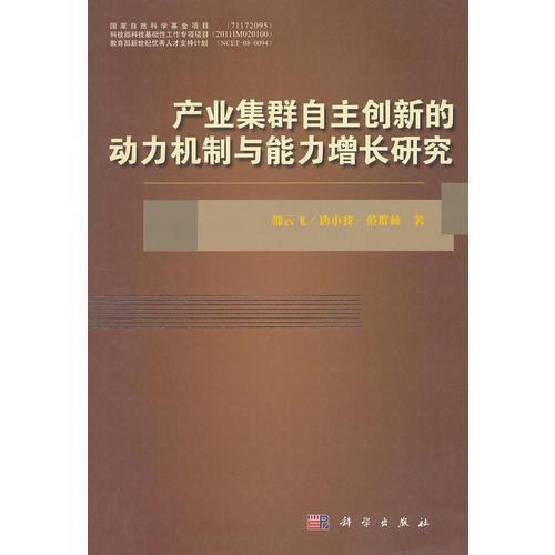 產(chǎn)業(yè)集群自主創(chuàng)新的動力機制與能力增長研究