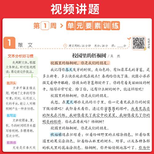 2025秋一本小学语文阅读题六年级上册同步阅读训练小学6年级语文同步阅读理解训练题人教版同步练习册 开心教育