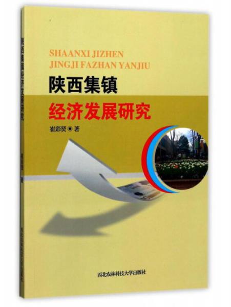 陜西集鎮(zhèn)經(jīng)濟(jì)發(fā)展研究