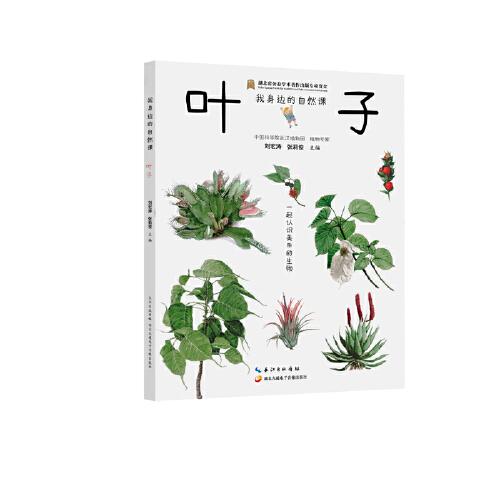 我身邊的自然課 葉子