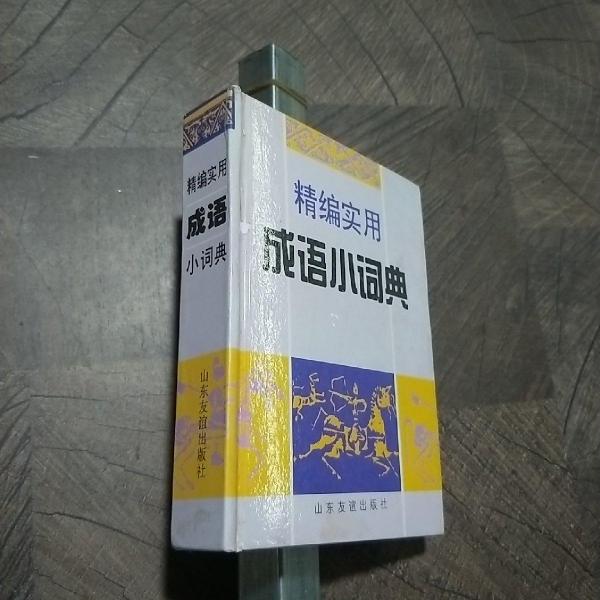 精編實(shí)用成語小詞典