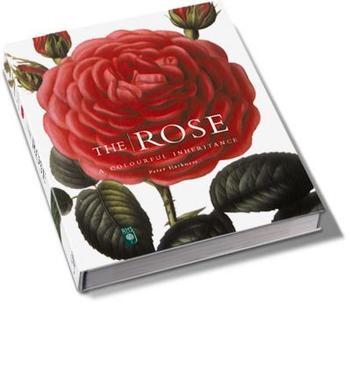 Rose A Colourful Inheritance