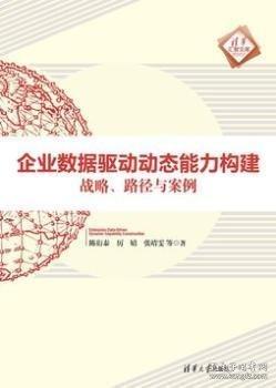 企业数据驱动动态能力构建